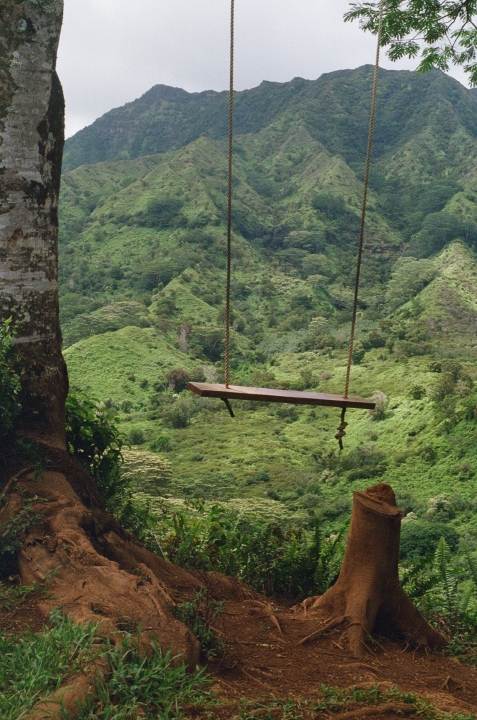 This swing is a welcome spot to pause along the Moalepe Trailhead, known for its lush, mountainous landscapes. The swing certainly looks fun—if you manage to climb on it, that is!