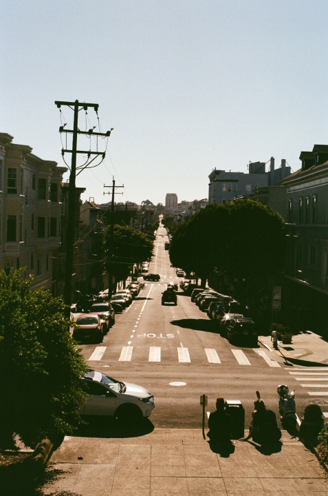 Looking down Grove Street from Alamo Square Park, the view stretches far into the distance. A favorite spot where people pause to take in the endless road and soak up the city's charm.